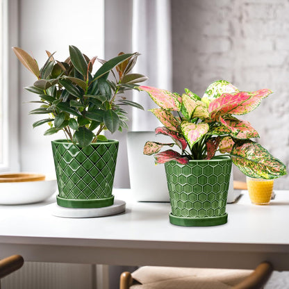 BUYMAX Plant Pots Indoor –6 inch Ceramic Flower Pot with Drainage Hole and Ceramic Tray - Gardening Home Desktop Office Windowsill Decoration Gift, Set of 2(Patina)