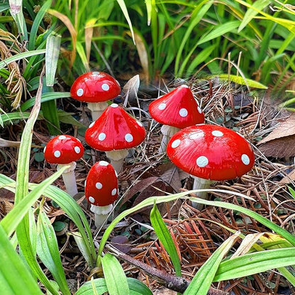 Juegoal Set of 6 Fairy Garden Miniature Mushrooms Statues, Glow in Dark Mini Red Mushroom Resin Figurines, Outdoor Garden Yard Art Accessories, Fly Agarics Sculpture Lawn Ornament Decorations