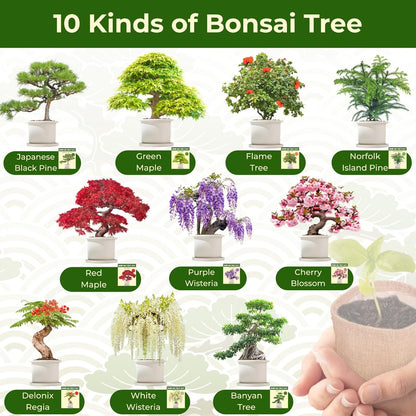 Premium Bonsai Tree kit - 10 Types Bonsai Tree Growing Set for Starter with Soil, Pots, Scissor, Plant Makers, Grow Greenery Indoor, Beginner Planting Kit Plant Gifts