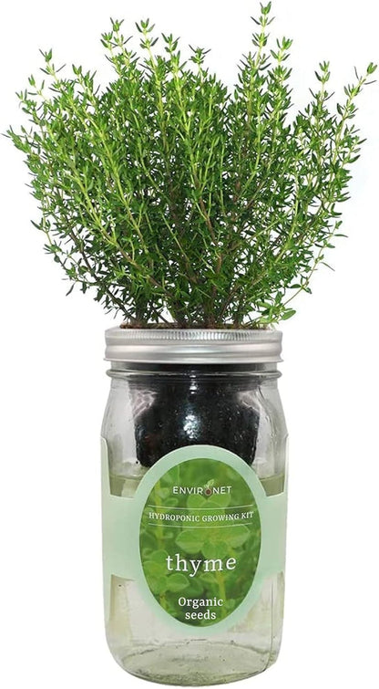 Hydroponic Herb Growing Kit, Self-Watering Mason Jar Herb Garden Starter Kit Indoor, Window Herbs Garden, Grow Your Own Herbs from Organic Seeds (Thyme)