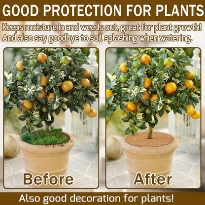 ZeeDix 12 Pack 12 Inch Coconut Fiber Mulch Ring, 100% Natural Coco Coir Tree Ring Mulch Mat Plant Protector Mat, Coconut Coir Discs Plant Pot Soil Cover for Indoor Outdoor Plants, Garden Decoration