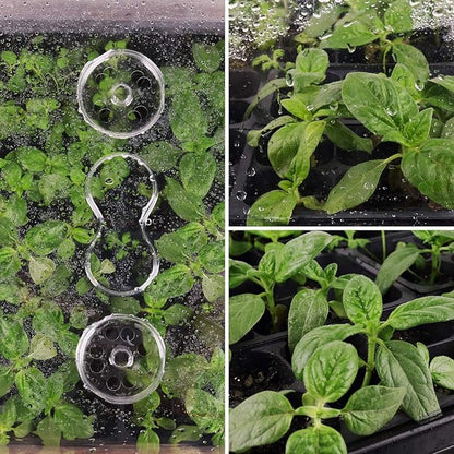 SOLIGT [Thick Plastic] 3-Set Strong Seed Starter Trays with 5" Humidity Domes for Seed Starting, Germination, Seedling Propagation & Plant Growing, Holds 144 Cells in Total