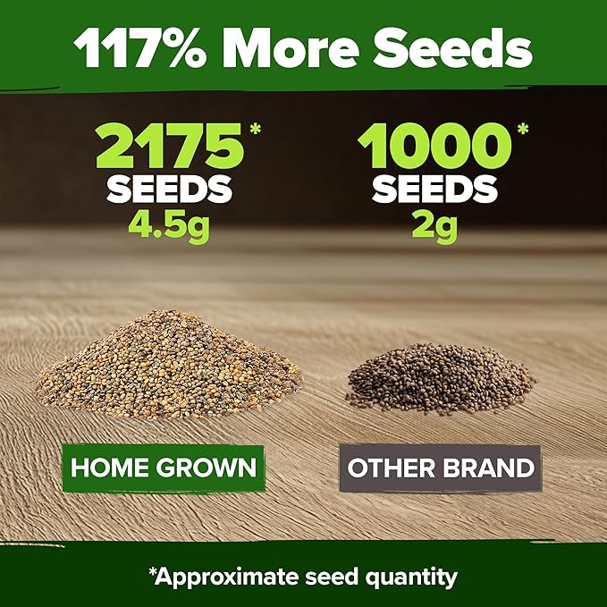 HOME GROWN 𝗨𝗦𝗔 𝗣𝗥𝗘𝗠𝗜𝗨𝗠 Arugula Roquette Seeds Pack 2,175 𝗡𝗢𝗡-𝗚𝗠𝗢 Heirloom Arugula Seeds for Planting Best for Outdoor Gardens,Providing Fast-Growing Greens for Salads - Eruca vesicaria