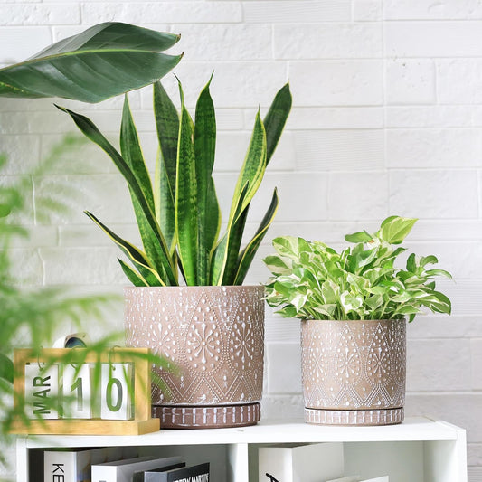 8 Inch + 6 Inch Plant Pot with Drainage Holes and Saucers, Indoor Ceramic Planter for Plants Succulent Orchid Flower Pots