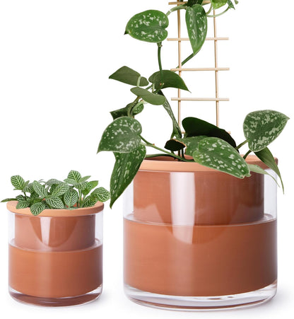 Phoenix Vine 4 Inch 6 Inch Self Watering Plants Pots, Design Terracotta Pots for Plants, Indoor Cylinder Terra Cotta Planter with Glass Vase Set, 51-A-G-46