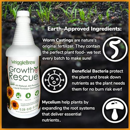 Organic Liquid Fertilizer Concentrate from Worm Castings. Non-toxic, All-Purpose, Plant Food for Gardens, Vegetables, Fruits, Houseplants, Seed Starters, and Ornamentals. (16 Fluid Ounces)