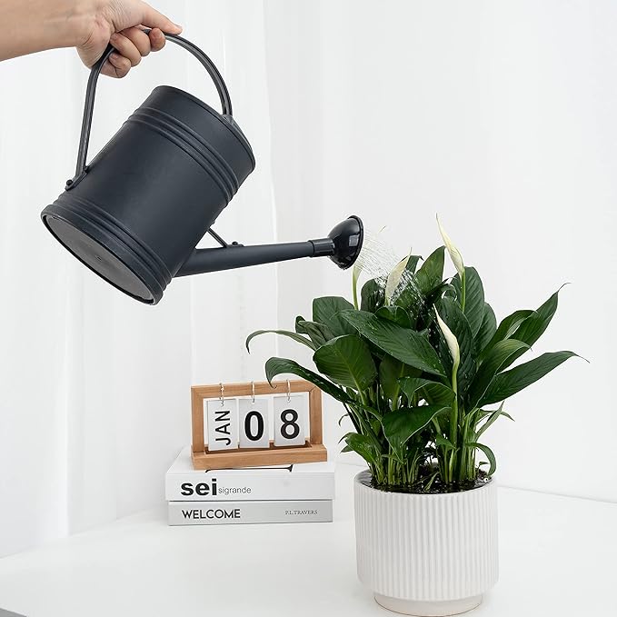 Plastic Indoor Watering Can with Sprinkler Head - 68 oz, 1/2 Gallon