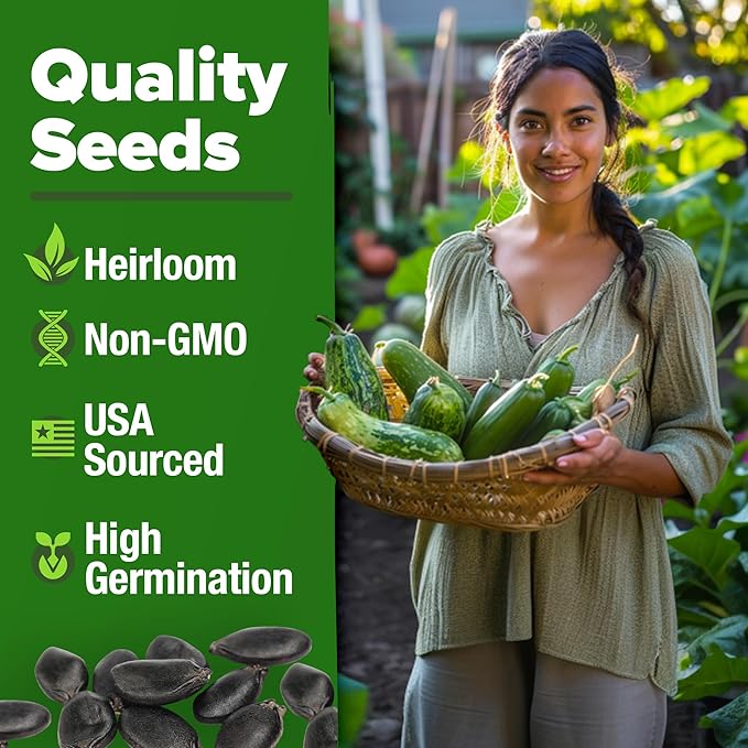 HOME GROWN 𝗨𝗦𝗔 𝗣𝗥𝗘𝗠𝗜𝗨𝗠 Luffa Seeds (Luffa aegyptiaca) 40 Heirloom 𝗡𝗢𝗡-𝗚𝗠𝗢 Loofah Gourd Seeds for Planting High Germination Rate - Make Sponges or Harvest Young Loofahs for Eating