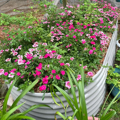 4 Pack 8x3x2FT Galvanized Raised Garden Bed Kit Oval Metal Ground Planter Box Outdoor Bottomless Planter Raised Beds for Vegetables Flowers Herbs Fruits, Gray