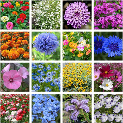 Wildflower Seed Shaker – Annual Mix by GevaGrow | 17 Variety Flower Seeds for Planting in Pots & Outdoor Gardens, Bulk 300,000+ Seeds - 1 Pound Tub