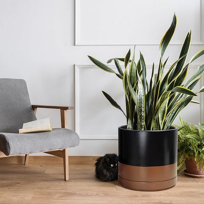 D'vine Dev 14 Inch Ceramic Planter Pot with Drainage Hole and Saucer, Indoor Cylinder Round Planter Pot, Black/Speckled Tan, 94-O-G-7