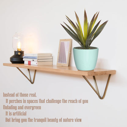 2pcs Artificial Agave Plants, 20 Inch Faux Succulent Aloe Vera,Realistic Aloe for Home Décor Shelf Plant Window Display Bonsai,Green