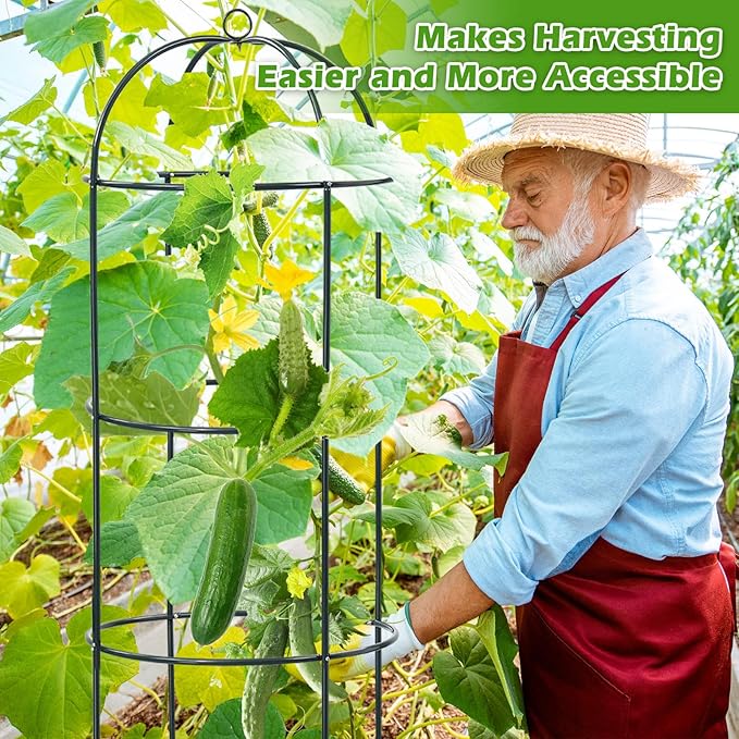 Trellis for Climbing Plants Outdoor, 75 Inch Tall Heavy Duty Metal Garden Trellis Tower Potted Cages for Flowers Fruits Vegetable Cucumber Tomato Potted Rose Clematis Pea Bean Raised Bed Trellises