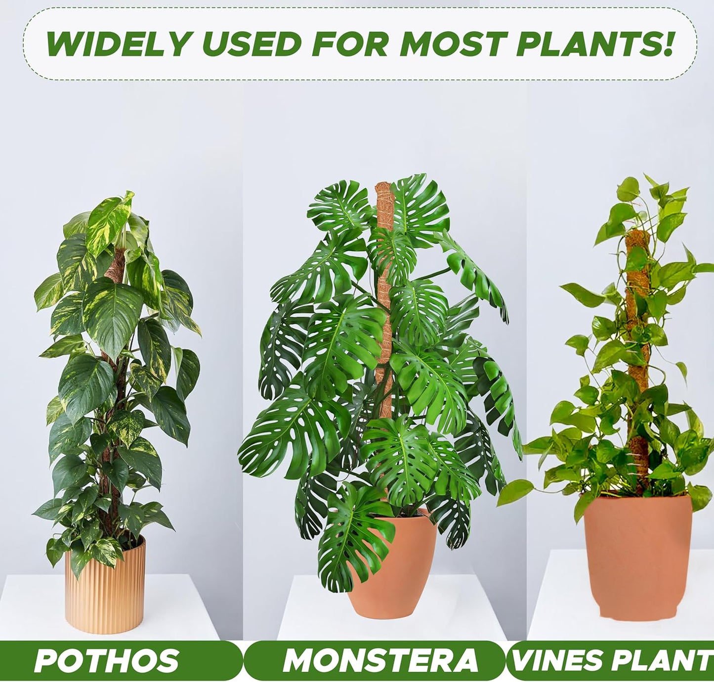 EcoNour Tall Moss Pole for Plants (1-Pack) 48-Inch | Large Monstera Plant Support for Climbing and Growth | Elevate Your Indoor Garden | Tall Plant Support for Indoor Potted Plants to Grow Upwards