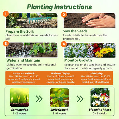 Outsidepride Low Growing Wildflower Seeds - 1 lb Dwarf, & Short, Diverse Perennial & Annual Wild Flower Seed Mix with Long Bloom Season for Colorful Display That Thrives on All States