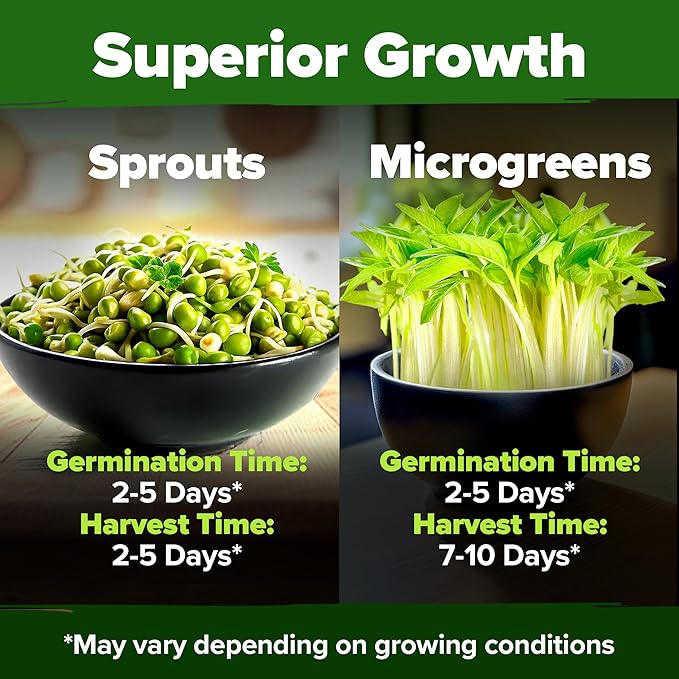 HOME GROWN Mung Beans Seeds Pack 1.5 lb – 𝗨𝗦𝗔 Over 15,000 Sprouting Seeds – Grow Fresh Mung Bean Sprouts or Microgreens for Quick, Easy, Nutrient-Packed Food for Your Daily Meals (Vigna Radiata)