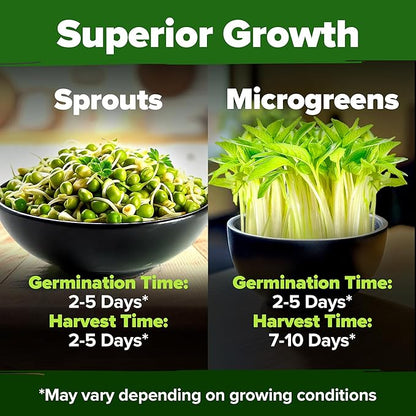 HOME GROWN Mung Beans Seeds Pack 1.5 lb – 𝗨𝗦𝗔 Over 15,000 Sprouting Seeds – Grow Fresh Mung Bean Sprouts or Microgreens for Quick, Easy, Nutrient-Packed Food for Your Daily Meals (Vigna Radiata)