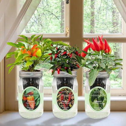 Hydroponic Mason Jar Indoor Garden Organic Seed Starter Kits - Pepper Trio Garden Growing Kits, Gardening Gift (Sweet Nardello Pepper, Jalapeño Early Pepper, Sweet Pickle Pepper)