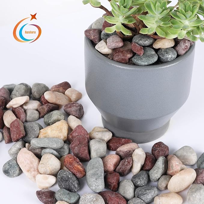 5lbs Natural River Rocks, Polished Pebbles for Plants Garden, 1-2 inch Decorative Countryside Stones, Ideal for Fish Tank, Vases, Crafting, Garden Landscaping Rocks,Countryside
