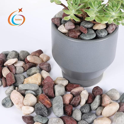 5lbs Natural River Rocks, Polished Pebbles for Plants Garden, 1-2 inch Decorative Countryside Stones, Ideal for Fish Tank, Vases, Crafting, Garden Landscaping Rocks,Countryside