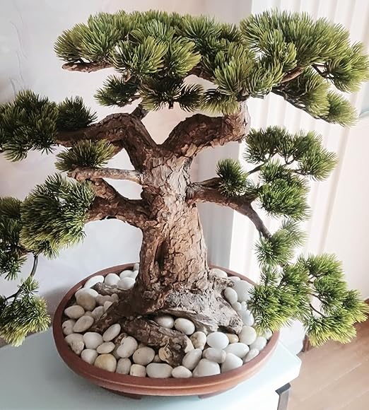 20 lbs White Pebbles for Indoor Plants, 0.8-1.2 inch Small River Rocks for Plants. Decorative White Stones for Planters Vase Fish Tank and Outdoor Garden Landscaping Rocks