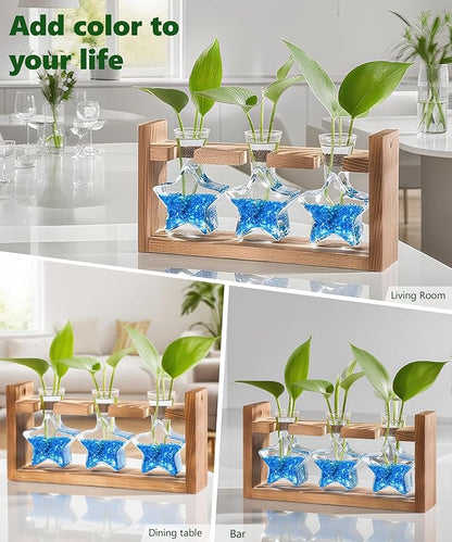 Nacome Star Glass Propagation Stations: Plant Terrarium with Wooden Stand Vase for Home Office Desk Decor, Unique Gifts for Plant Lovers Women Mom