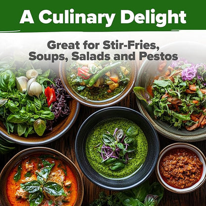 HOME GROWN Thai Basil Seeds Pack - 438 High Germination 𝗡𝗢𝗡-?𝗠𝗢 𝗨𝗦𝗔 Heirloom Herb Seeds for Planting,Ideal for Growing Fresh Basil Planting Indoor or Outdoor(Ocimum basilicum VAR.thyrsiflora)