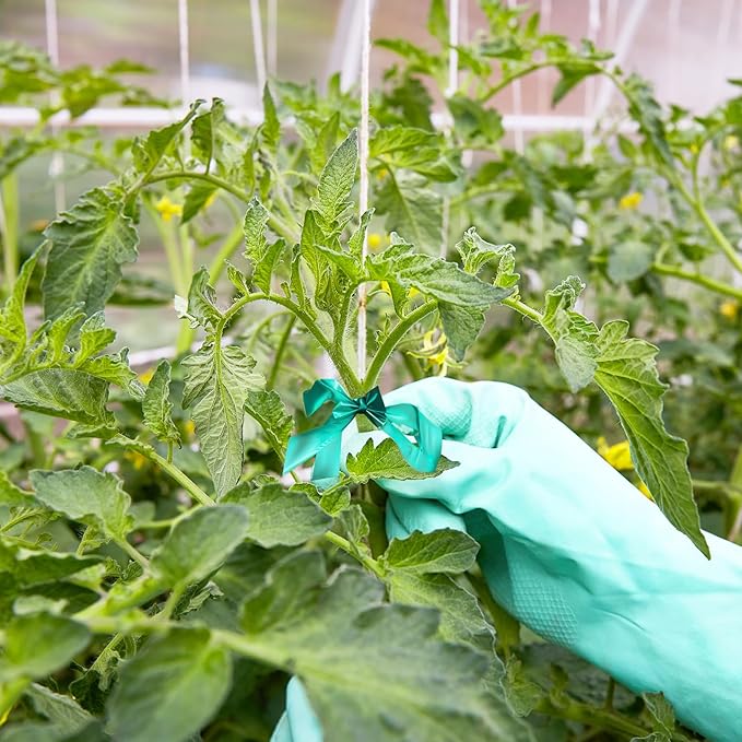 24 Pcs Stretch Tie Tape, 150 Feet x 1/2" Wide Reusable Garden Plant Ties Green Tapes for Plants, Thick Garden Vinyl Stake Ribbon for Branches Flowers Tomatoes Indoor/Outdoor/Greenhouse