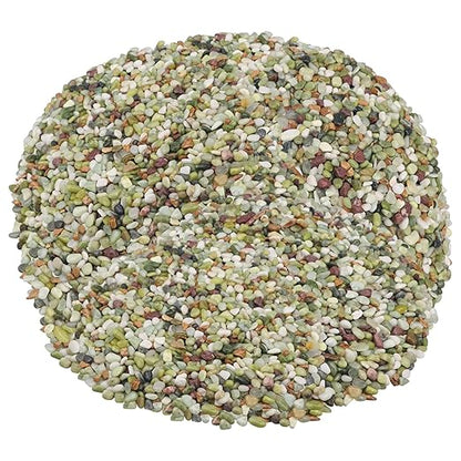 Landscaping Pebbles River Rocks Decorative Ornamental Pebbles Garden Landscaping Stones Gravel Filler for Home Decoration Flower Bed Fish Tank Plants Vases Succulents (1, Green, 10 Pounds)