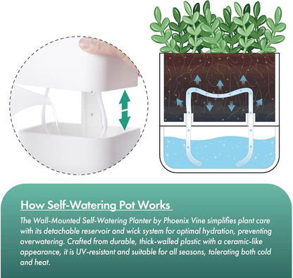 Phoenix Vine 6.5-Inch Wall Mounted Self-Watering Planter Pot for Indoor Houseplants and Herbs | Modern Hanging Planter for Window Sills, Bathroom Walls, Home & Office Décor, White, Set of 1, 01-WP-W-1