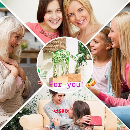 Propagation Station, Plants Terrarium, Plants Lover Gifts for Women,Plant Cutting Holder Home décor,Gifts for Women,House Warming New Home-4 Tubes-Beige