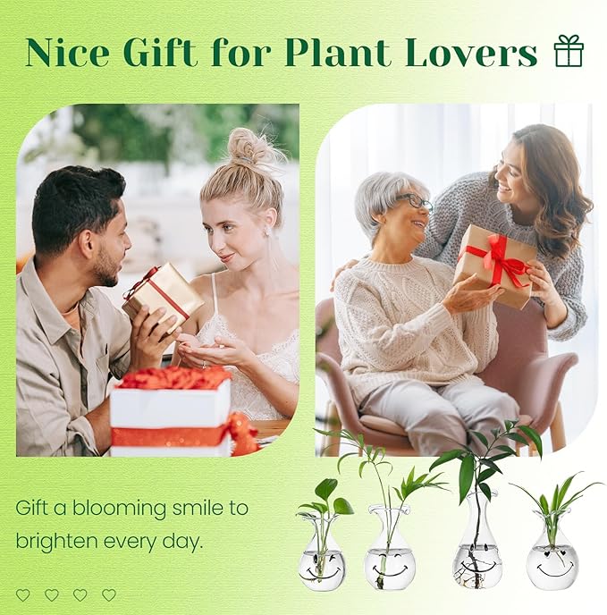 Hewory Smiley Face Glass Planter: 4 PCS Cute Propagation Stations for Hydroponic Plants Cutting Flowers - Clear Terrarium Propgation Vases Jars for Home Office Decor Plant Lover Gifts