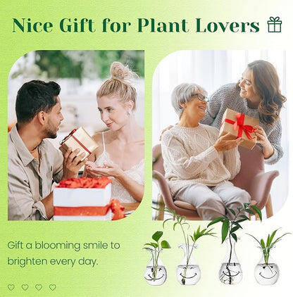 Hewory Smiley Face Glass Planter: 4 PCS Cute Propagation Stations for Hydroponic Plants Cutting Flowers - Clear Terrarium Propgation Vases Jars for Home Office Decor Plant Lover Gifts