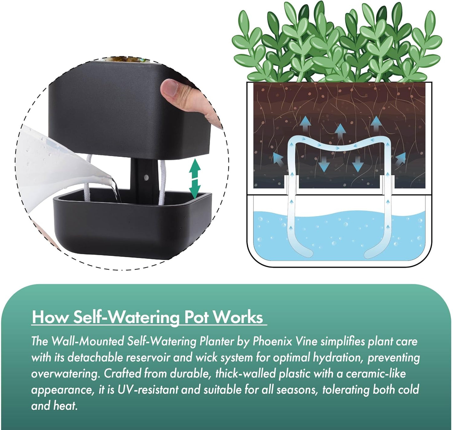 Phoenix Vine 6.5-Inch Wall Mounted Self-Watering Planter Pot for Indoor Houseplants and Herbs | Modern Hanging Planter for Window Sills, Bathroom Walls, Home & Office Décor, Black, Set of 1, 01-WP-B-1