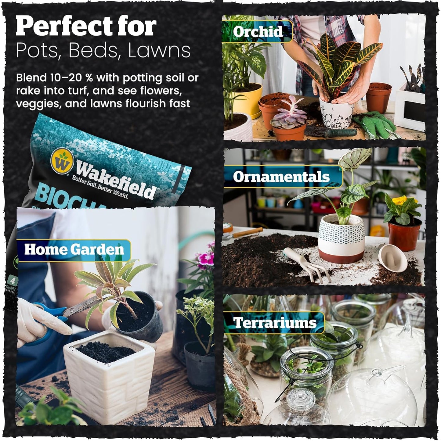 Wakefield Premium Biochar Soil Conditioner – 100% Pure Organic Biochar Soil to Boost Nutrient Retention and Water Efficiency for Houseplants, Gardens, & Lawns – 4 Quarts