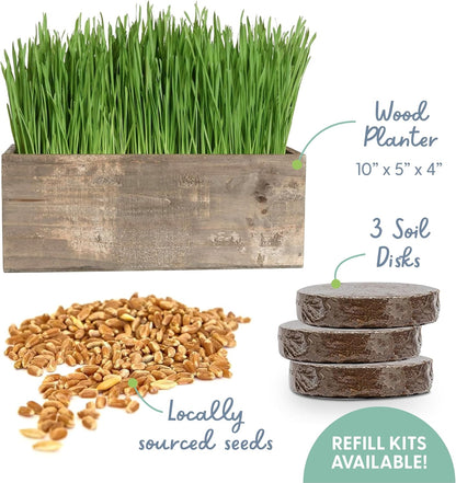 The Cat Ladies Cat Grass Kit Complete with Rustic Wood Planter, Organic Seed and Soil. Easy to Grow - Great for Indoor or Outdoor Cat, Dogs and Other Pets. Prevent Hairballs and Aid Digestion…