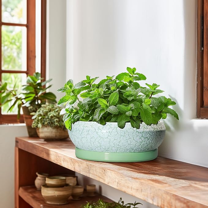 Bonsai Pots - 10 Inch Ceramic Succulent Pot with Drainage Hole and Plant Saucer, Succulent Planters for Indoor Outdoor, Round Planter Bowl, Shallow Planter, Home Decor, Gardening Gift, Green