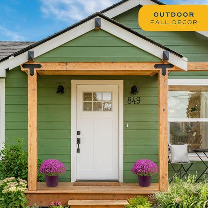 Costa Farms Live Plants – Fall Mums 2-Pack (Purple) in Color Pot | 3 Qt. Seasonal Houseplants & Outdoor Flowers for Porch, Patio, or Garden | Ships in Bud Form for Longer Bloom