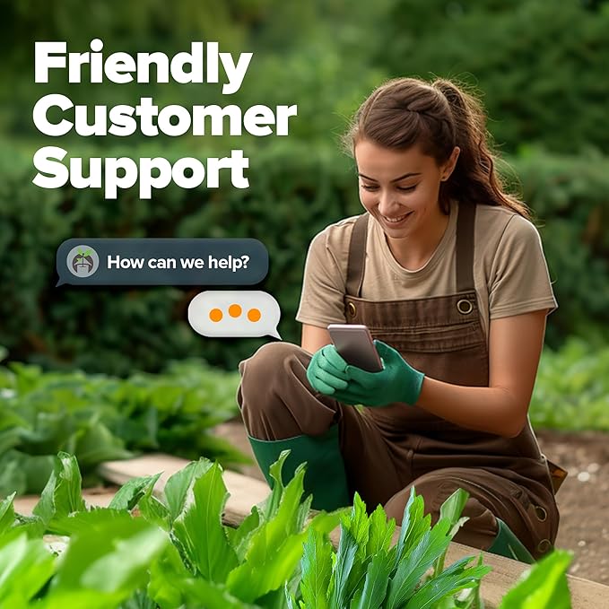 HOME GROWN 𝗨𝗦𝗔 𝗣𝗥𝗘𝗠𝗜𝗨𝗠 Culantro Seeds 360 Herb Seeds for Planting Non-GMO Heirloom Variety, Robust Flavor, Thrives in Heat, Grows Indoors or Outdoors, Cilantro Substitute (Eryngium Foetidum)