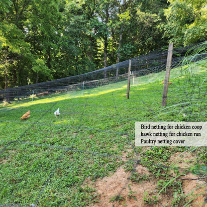 Junflying Bird Netting for Chicken Coop, 1 Inch Mesh 50x50 Ft Strong Woven Poultry Netting for Chicken Run Roof Cover, Against Bird Hawk Small Animals, Protect Strawberry Plant Fruit Tree Vegetable