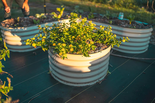 Vego garden 17" Tall 42" Round Raised Garden Bed Metal Raised Bed Planter Box for Vegetables Flowers Patio, Pearl White