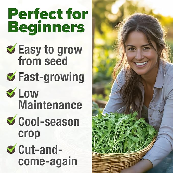 HOME GROWN 𝗨𝗦𝗔 𝗣𝗥𝗘𝗠𝗜𝗨𝗠 Arugula Roquette Seeds Pack 2,175 𝗡𝗢𝗡-𝗚𝗠𝗢 Heirloom Arugula Seeds for Planting Best for Outdoor Gardens,Providing Fast-Growing Greens for Salads - Eruca vesicaria