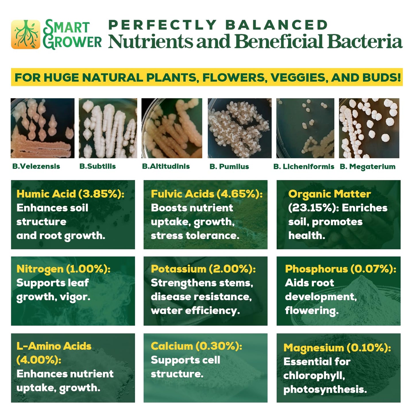 Organic Plant Food with Beneficial Microbes, Fast Acting Vegan Fertilizer for Vegetable Garden, Outdoor & Indoor Plant Fertilizer, Miracle Growth for Plants Concentrated 250GR 2-Pack Makes 60 Gallons