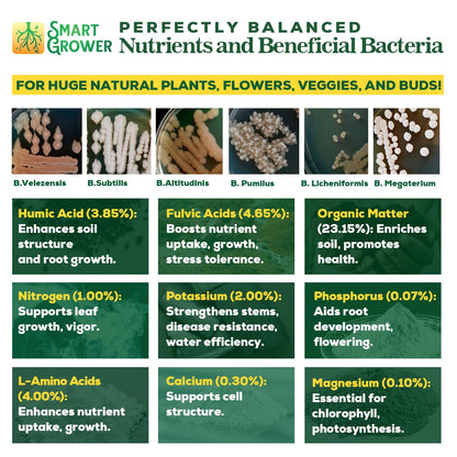 Organic Plant Food with Beneficial Microbes, Fast Acting Vegan Fertilizer for Vegetable Garden, Outdoor & Indoor Plant Fertilizer, Miracle Growth for Plants Concentrated 250GR 2-Pack Makes 60 Gallons