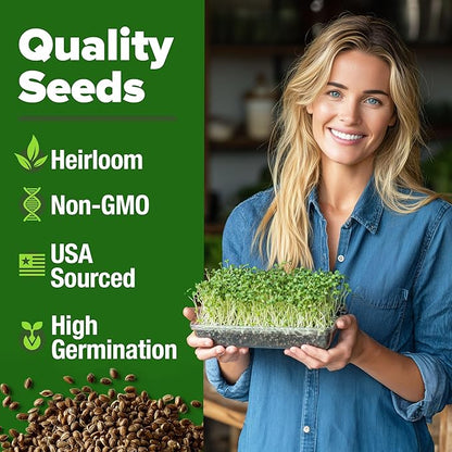 HOME GROWN Broccoli Seeds 8 oz - for Sprouting or Microgreens 𝗡𝗢𝗡-𝗚𝗠𝗢 𝗨𝗦𝗔-𝗦𝗢𝗨𝗥𝗖𝗘𝗗 High Germination Sprout Seeds Nutritious Micro Greens - Broccoli Sprouts in 5 days - Sulforaphane Rich