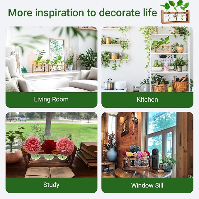 Propagation Station, Plants Terrarium, Plants Lover Gifts for Women,Plant Cutting Holder Home décor,Gifts for Women,House Warming New Home-3 Bulbs-Easy