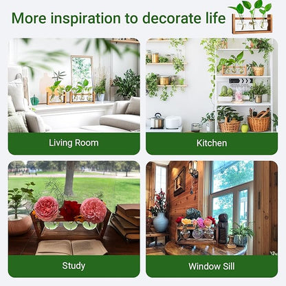 Propagation Station, Plants Terrarium, Plants Lover Gifts for Women,Plant Cutting Holder Home décor,Gifts for Women,House Warming New Home-3 Bulbs-Easy