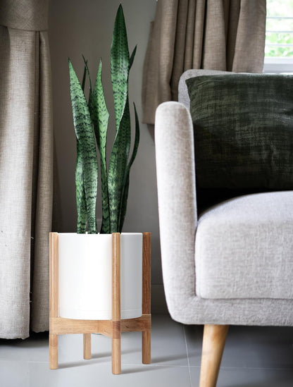 D'vine Dev Planter Pot with Stand - 10 Inch Plastic Cylinder Flower Pot with Wood Planter Holder for Indoor, Matte White Pot + Natural Stand, 55-C-M-1