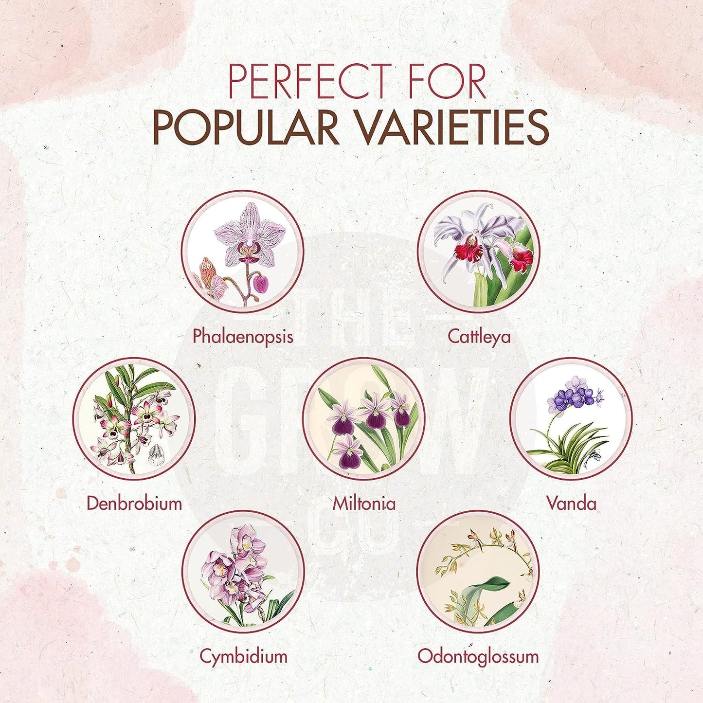 Organic Ready to Spray Orchid Food Mist - Bloom Booster Fertilizer for Orchids in Pots - Plant Nutrients for Healthy Flower & Reblooms (8 oz)