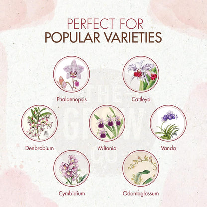 Organic Ready to Spray Orchid Food Mist - Bloom Booster Fertilizer for Orchids in Pots - Plant Nutrients for Healthy Flower & Reblooms (8 oz)